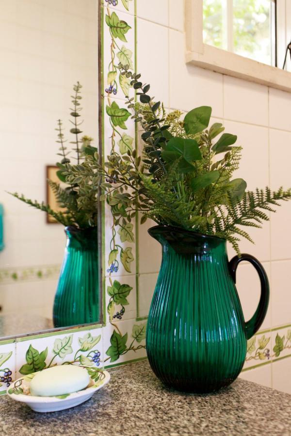 Vila Chacara Flora Em Malveira Da Serra 아우카비데시 외부 사진